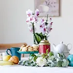 Glamping - Seme Di Carota Casa di campagna *