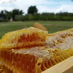 Casa di campagna Glamping - Seme Di Carota