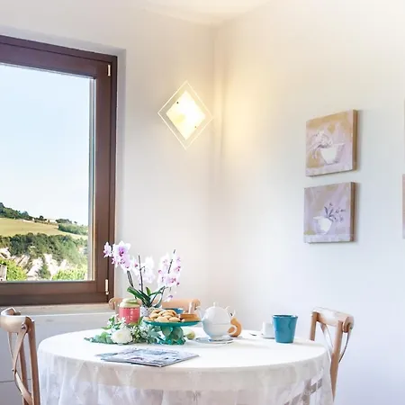 Glamping - Seme Di Carota